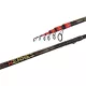 Delphin XERXES TeleFLOAT (360cm/30g) - main