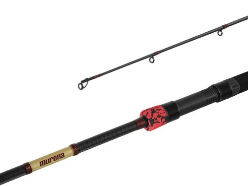 Delphin MURENA POWER 210cm/125g/2 rész
