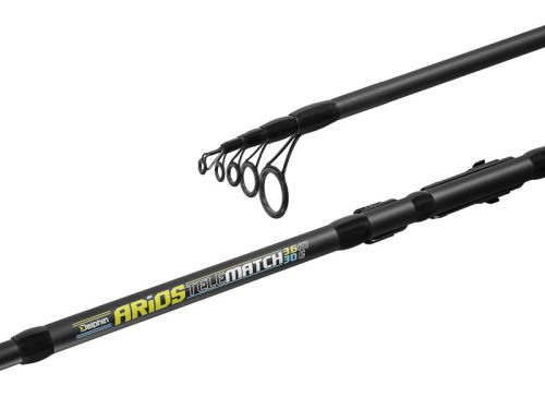 Delphin ARIOS TeleMATCH - main