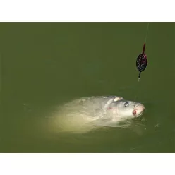 Delphin ThermoTEX kültéri nadrág 3XL