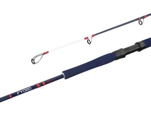 Delphin FYORD BigBOAT - main