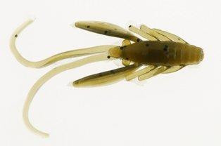 PBHPN1-POS PWRBT PWR NYMPH 1IN PRLOLVSHD