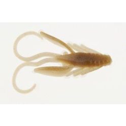 PBHPN1-TD PWRBT PWR NYMPH 1IN TOAD