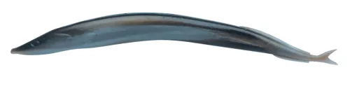 GASHPSE5-SMD GA HLFP SNDEEL 5 SILVER MUD