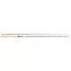 Rod Salmon Seeker Casting 12ft 50-150g