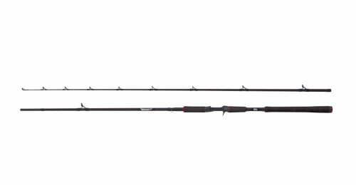 BEAST Pike 862XXH 50-200g Casting