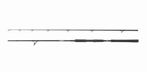 BEAST Pike 862XXH 40-140g Spinning