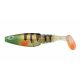 Sick Swimmer 12cm Transp Perch 32pcs