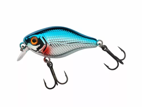 Pulse Fry shallow 3.8cm Blue Flash