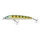 Beast Hi-Lo sinking 10cm Striped Ayu