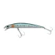 DEX Long Shot 10cm Holo Herring