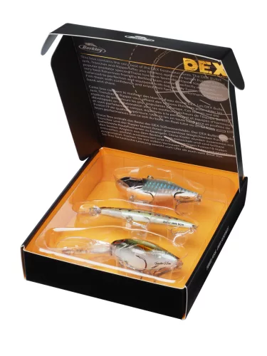 DEX Gift Box