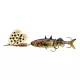 FA Stickle Spinner 10.0cm Natural Stickl