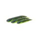 NED DRAGON TAIL SLUG 7.2CM 3G 5PCS CHPMK