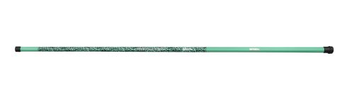 CATCH PRO II Pole T-300