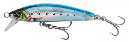 Gravity Minnow 6CM 12G FS GHOST SARDINE