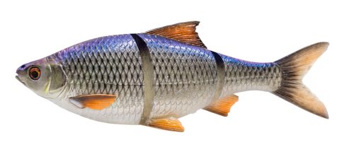 3D LT ROACH 25CM 216G S BLUE ROACH