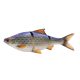 3D LT ROACH 25CM 216G S BLUE ROACH