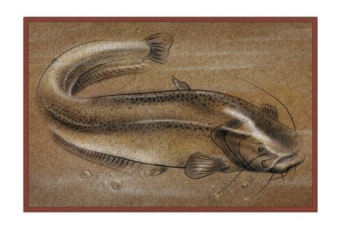 Szőnyeg Retro HARCSA 60x40cm