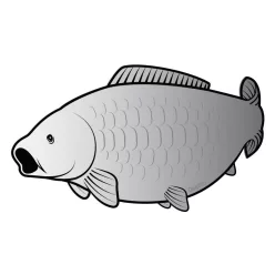 Öntapadó ponty SILVER - main