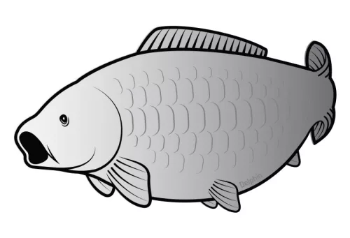 Öntapadó ponty SILVER - main