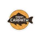 Öntapadó Delphin CARPATH - main