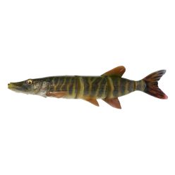 4D LT PIKE 25CM 105G SS STRIPED PIKE