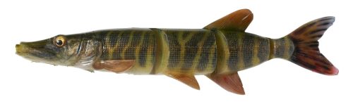 4D LT PIKE 25CM 105G SS STRIPED PIKE