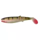 LB CANNIBAL SHAD B 12.5CM20G PERCH 48PCS