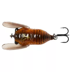 3D CICADA 3.3CM 3.5G F BROWN