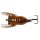 3D CICADA 3.3CM 3.5G F BROWN