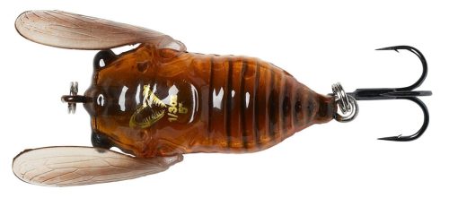 3D CICADA 3.3CM 3.5G F BROWN