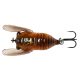 3D CICADA 3.3CM 3.5G F BROWN