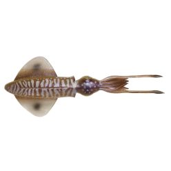 3D SWIM SQUID 25CM 86G S CUTTLEFISH