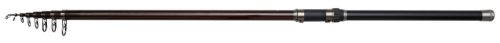 BACKBONE II STELLFISCH 6.00M 50-100G