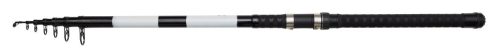 BASE-X TELE STELLFISCH 6.00M 50-100 8SEC