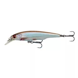 GRAVITY TWITCH SR 9.5CM 15G SP ROACH