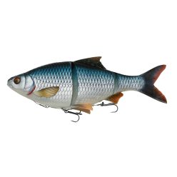 4D LT ROACH 18CM 80G SS ROACH