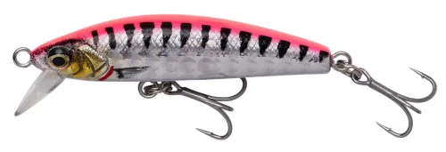 GRAVITY MINNOW 5CM 8G FS PBCUDA PHP