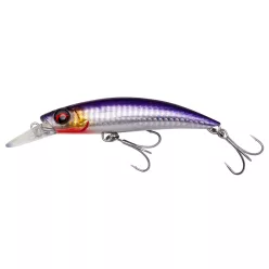 GRAVITY RUNNER 10CM 55G XFS BA PH