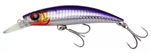 GRAVITY RUNNER 10CM 55G XFS BA PH