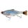 3D HARD PT ROACH 18CM 95G SS ROACH