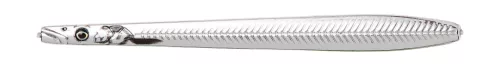 LT SANDEEL NAIL 11CM 20G SILVER PLATING
