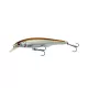 GRAVITY TWITCH SR 11.5CM 25G F ROACH