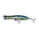 GRAVITY POPPER 11CM 25G F IMP SARDINE