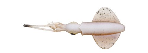 SWIM SQUID LRF 5CM 0.8G CUTTLEFISH 5PCS