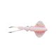 SWIM SQUID LRF 5CM 0.8G PINKL GLOW 5PCS