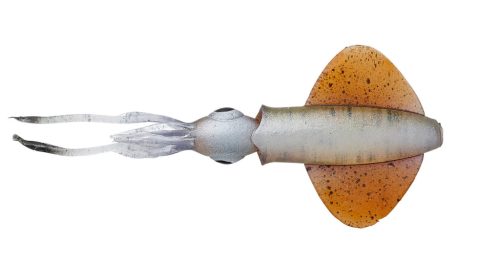 SWIM SQUID LRF 5CM 0.8G HORNY SQUID 5PCS