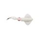 SWIM SQUID LRF 5CM 0.8G W GLOW CF 5PCS