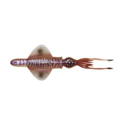 SWIM SQUID RTF 25CM 160GR S CUTTLEFISH
